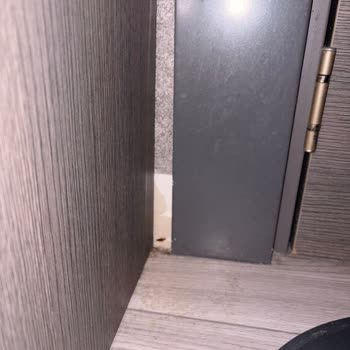 Hamam Böcekleri Ve Arızalı Oda Sorunları Nedeniyle Oda Değişikliği Ve Ücret İadesi Talebi