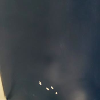 Koçtaş Banyo Dolabında Hasarlı Parça Ve Boya Soyulması