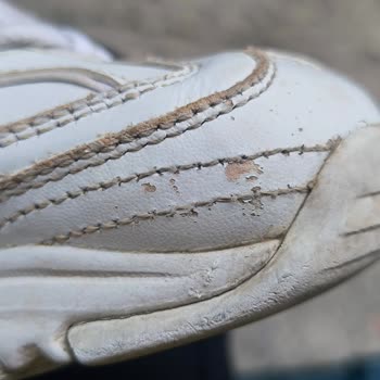 Skechers Ayakkabısının Kısa Sürede Boya Atması Ve Garanti Reddi