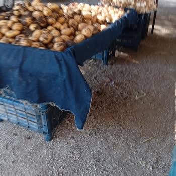 Belen Pazar Şikayeti