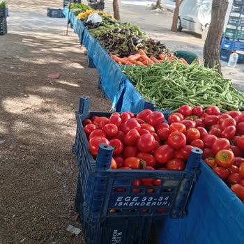 Eki aç
