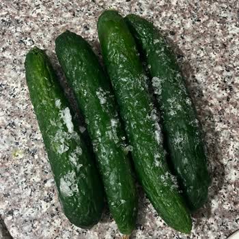 Garanti Kapsamındaki Buzdolabım Tüm Ürünleri Donup Bozuluyor, Değişim Talebi
