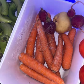 Garanti Kapsamındaki Buzdolabım Tüm Ürünleri Donup Bozuluyor, Değişim Talebi