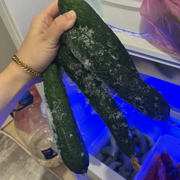 Garanti Kapsamındaki Buzdolabım Tüm Ürünleri Donup Bozuluyor, Değişim Talebi