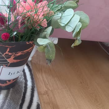 Çiçek Sepeti Eksik Ve Solmuş Papatyalar, Yanlış Paketleme, Tam Ücret İadesi