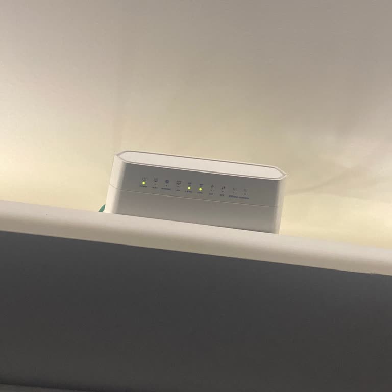 Vodafone Net Ev İnternet Kesintisi Ve Ek İnternet Haklarından Yoksun Kalma Şikayeti