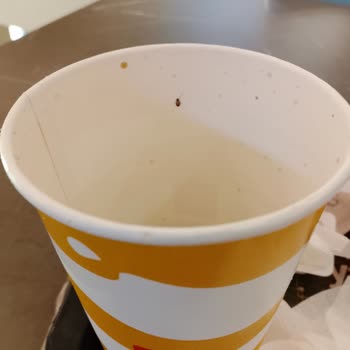 McDonald's İçeceğinde Böcek Tespiti Hijyen Sorunu