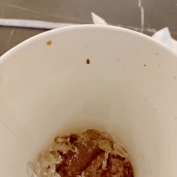 McDonald's İçeceğinde Böcek Tespiti Hijyen Sorunu