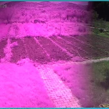 Garanti Kapsamındaki Kamera İçin Kargo Ücreti Ödetilmesi Ve Görüntü Kalitesinin Bozulması