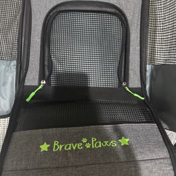 Ayıplı Brave Paws Çantası Kedimi Hayati Tehlikeye Attı