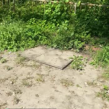 Giresun Çıtlakkale Mahallesi Atakent Sitesi Parkının Pisliği!