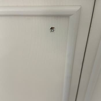 Ayıplı Dolap Kapakları Ve Geciken Sandalyeler İçin Acil Çözüm Talebi