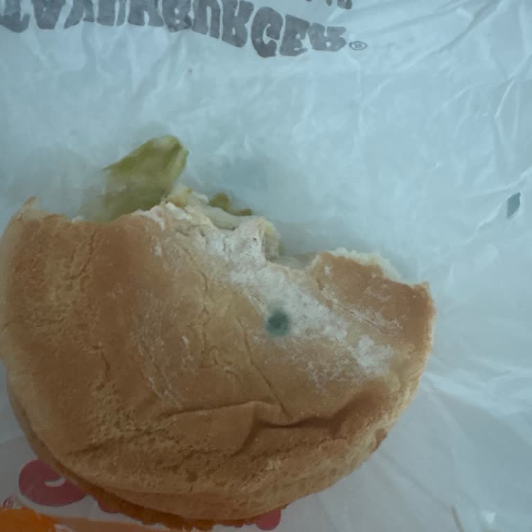 Küflü Hamburger Ekmek Hamile Müşterinin Sağlığını Tehdit Ediyor