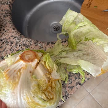 Migros Sanal Market'te Çürük Marul Teslimatı Müşteriyi Hayal Kırıklığına Sürükledi
