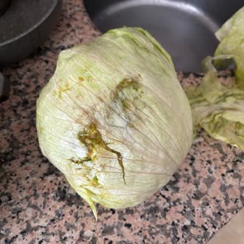 Migros Sanal Market'te Çürük Marul Teslimatı Müşteriyi Hayal Kırıklığına Sürükledi