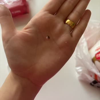 Migros Şeker Paketi İçinde Fare Dışkısı: Gıda Güvenliği İhlali