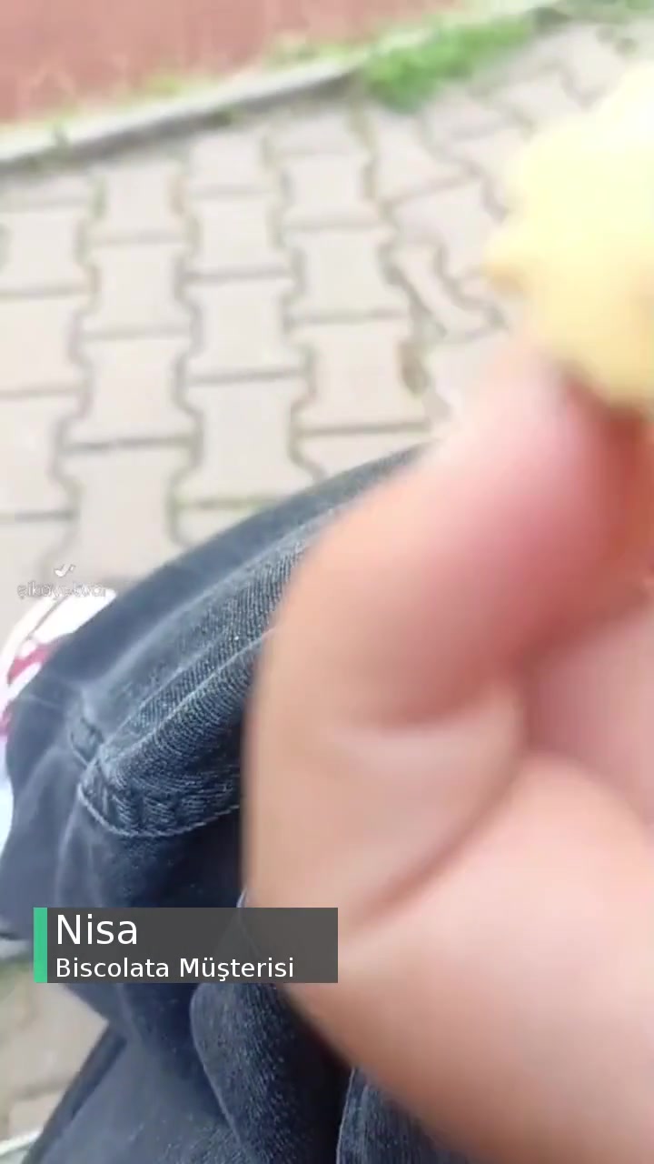 Biscolata İçinden Kıl Çıktı
