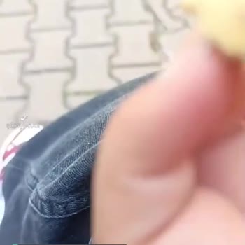 Biscolata İçinden Kıl Çıktı