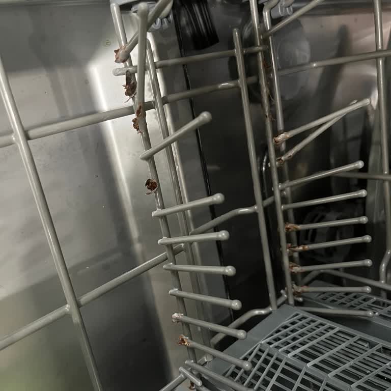 Alt Sepet Paslanması Ve Kırılan Çubuklar: Servis Yokluğu Ve Ücretsiz Değişim Talebi
