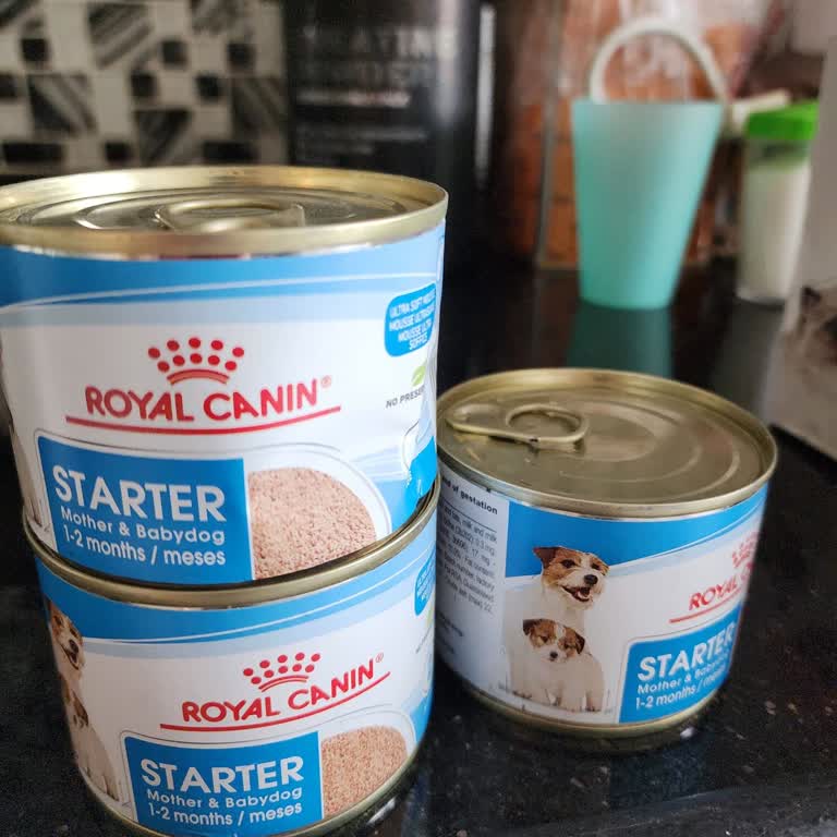 Yanlış Gönderilen Köpek Maması İçin 525 TL İade Talebi