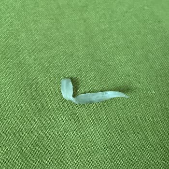 Mısır Gevreği İçinde Plastik Parça Gıda Güvenliği Endişesi