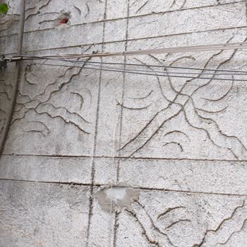 Kesik Kablo Nedeniyle İnternetsiz Kalma Ve Acil Çözüm Talebi