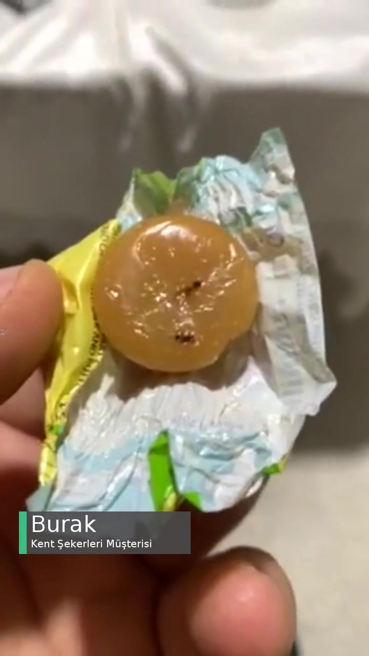 Kent Şekerde Karıncalar Var!