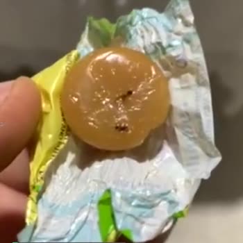 Kent Şekerde Karıncalar Var!