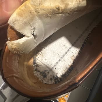 Hotiç İzmir Mağazası Ayıplı Ayakkabı İçin Kullanıcı Hatası Dedi