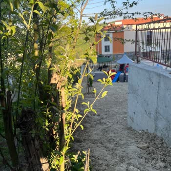 Sınır Çiti İhlali Ve Çocuk Parkı Güvenliği İçin Yeni Çit Talebi