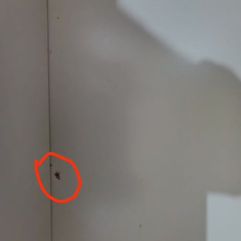 74 Bin TL Değerindeki Defolu Yatak Odası Takımı Ve İlgisiz Montaj