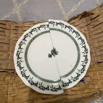 İstanbul Sultanbeyli Şubesinde Gecikmeli Teslimat Ve Hamam Böcekli Kargo