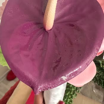 Instagram Üzerinden Sipariş Edilen Gelin Buketi Kalitesiz Ve Hasarlı, İade Talebi Reddedildi