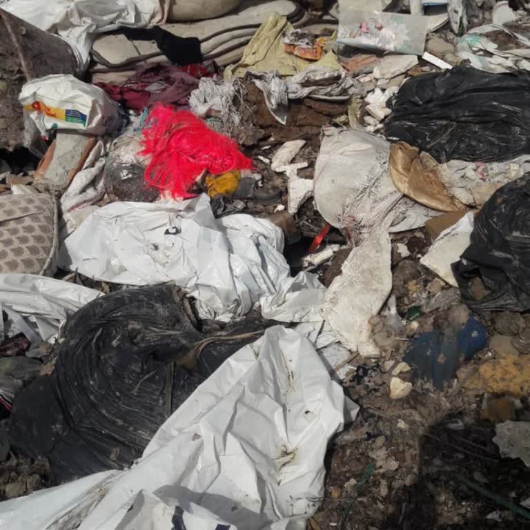 Akkapı Mahallesi'nde Çöp Toplama Bozuldu Ve İlaçlama Yok, Acil Müdahale Gerekiyor