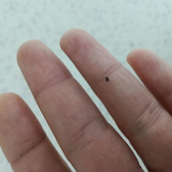 Şok Markette Ülker Biskrem Paketi Bozuk, Çikolata Az Ve Boyut Tutarsız