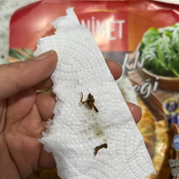 Börek İçinde Böcek Bulunması Hakkında Şikayet Ve İade Talebi