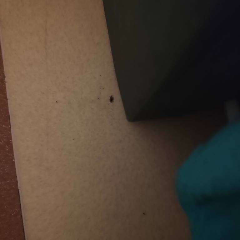 Hamam Böcekleri Ve Bozuk Klima Çocuk Hastalarının Güvenliğini Tehlikeye Atıyor