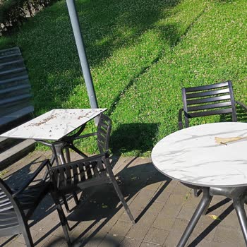 Trabzon’da Aşıklar Ve Fatih Parklarında Çevre Kirliliği Ve Alkol Kullanımına Acil Önlem Talebi