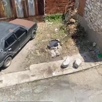 Milas Belediyesi Sokak Çevre Pisliği Ve Pisliğe Gelen Sinek, Alınmayan Otlar, Yılanlar