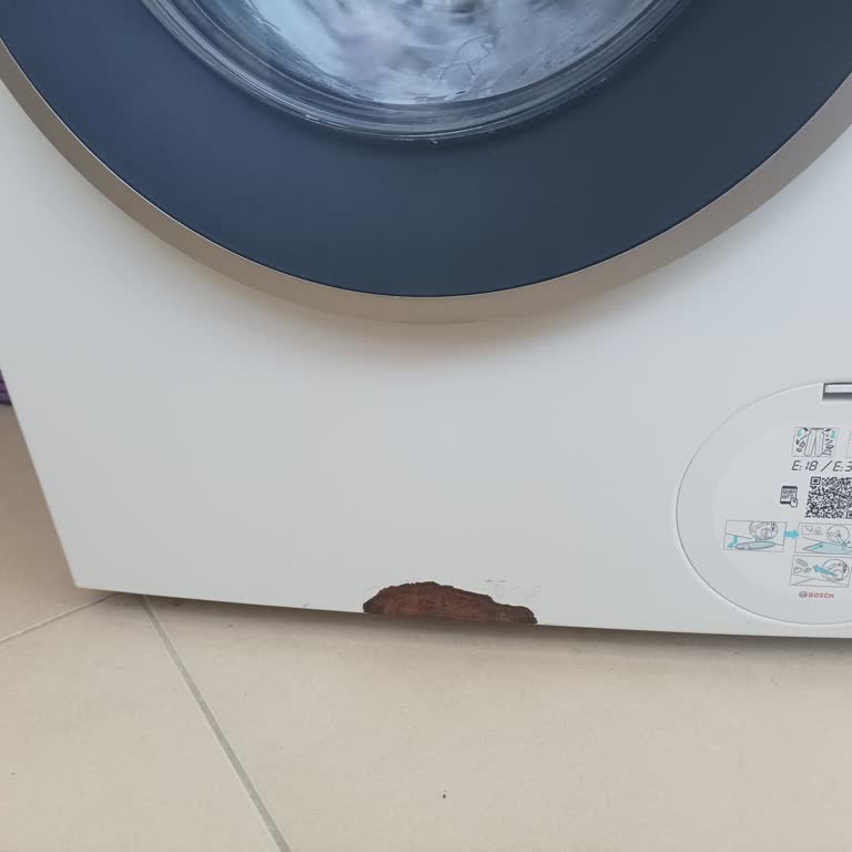 Bosch Çamaşır Makinesinde 4 Yıl Sonra Boya Dökülmesi Ve Paslanma