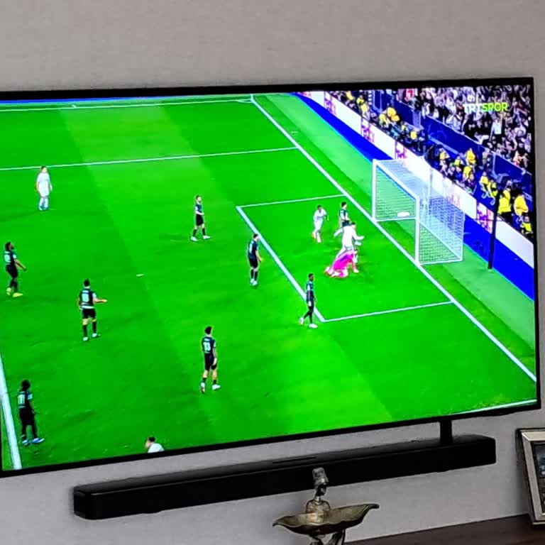 Samsung TV Ekranındaki Çizgi Ve Renk Farkı: Garantisi Bitmiş Cihaz İçin Değişim İsteği