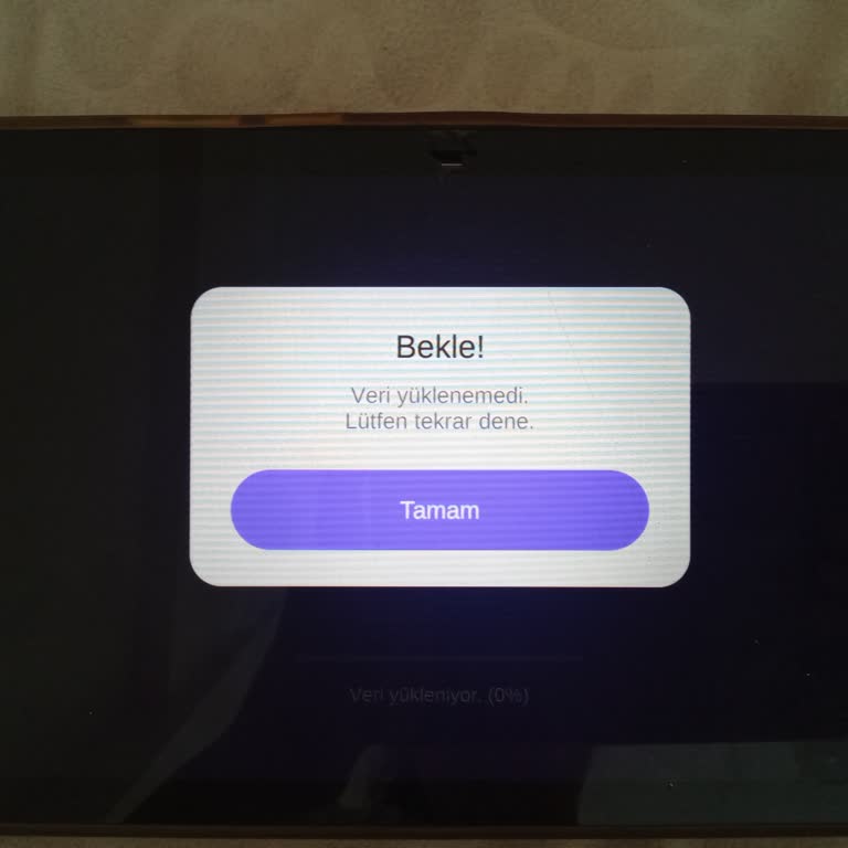 Zepeto Uygulamasında Veri Yüklenemiyor Hatası Tabletimde Çözülmeli