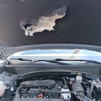 Yeni Hyundai Tucson Ön Kaput Ses İzolasyonundaki Yırtılma İçin Garanti Kapsamı Talebi