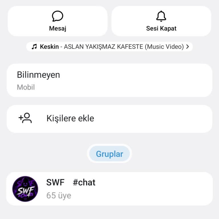Şifremi Unuttuğum İçin Telegram Hesabım Sıfırlandı Ve Premium Kaybı Yaşadım