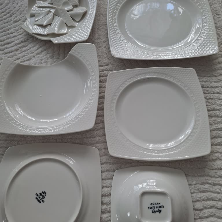 Aras Kargo Kuryesinin Agresif Davranışı Ve Paketteki Zarar