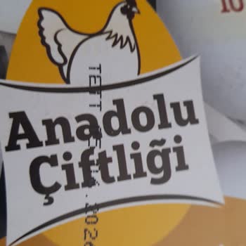 Satın Alınan Yumurta Son Kullanma Tarihi Geçmiş, Şok Markette Müşteri Hizmeti Yardımsız