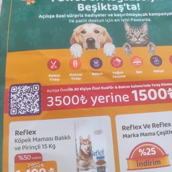 Pawco Pet Shop Beşiktaş Yaşadığım Fiyatlandırma Şikayeti