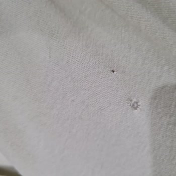 Kusurlu Bosch Çamaşır Makinesi Çamaşırlarımı Yırtıyor, Bayi İade Talebimi Reddetti