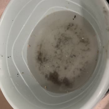 Profilo Bulaşık Makinesinin Kurulum Sonrası Su Sızıntısı Dolabı Şişiriyor Ve Kullanılamaz