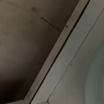 Profilo Bulaşık Makinesinin Kurulum Sonrası Su Sızıntısı Dolabı Şişiriyor Ve Kullanılamaz